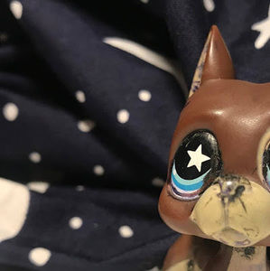 Meet your Posher, Lps